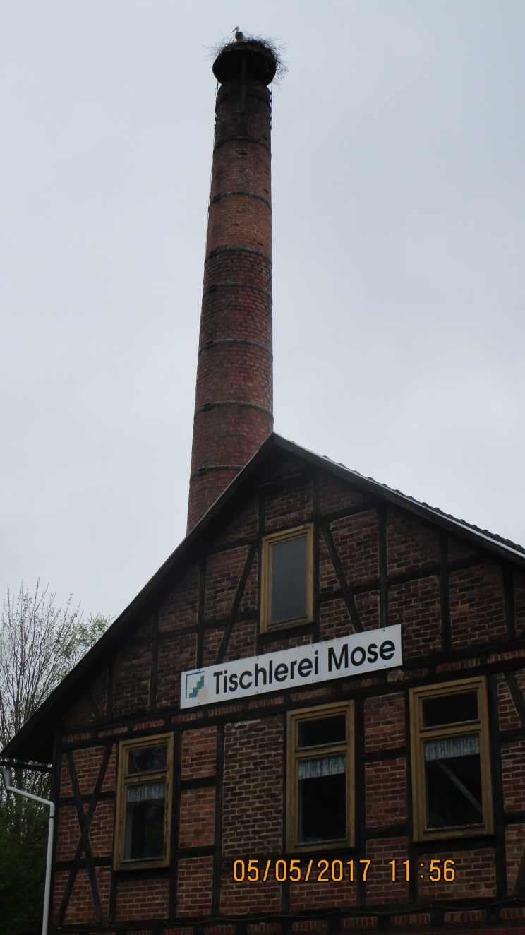 seglerkastenmose